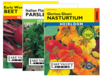 SEEDS CUCUMBER SPACEMASTER HEIR