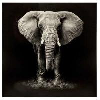 PRINT & FRAME ELEPHANT 100X100