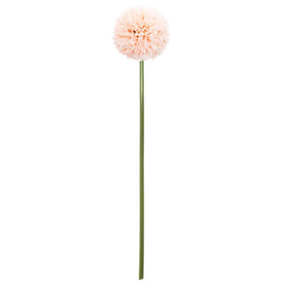 BALL DAISY STEM