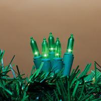 LIGHTS MINI LED 60CT GRN