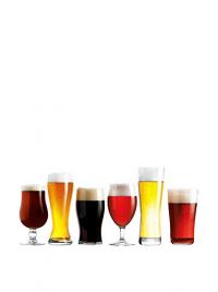 GLASSES CRAFTBEER 6PC ASST