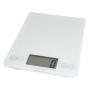 SCALE DIGITAL GLASS ARTI