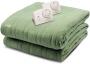 BLANKET ELEC COMFORT TWIN SAG