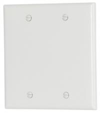 PLATE BLANK 2 GANG WHITE