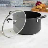 POT STOCK 8QT W/GLASS COVER