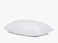 PROTECTOR PILLOW ALLERY STD WH