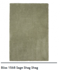 RUG BLISS 5X7 SAGE